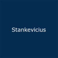 Stankevicius MGM about global market expansion